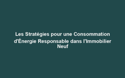Les Stratégies pour une Consommation d&rsquo;Énergie Responsable dans l&rsquo;Immobilier Neuf